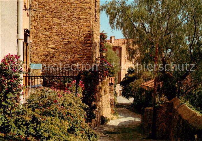 Bormes-les-Mimosas 83 Var Coin pittoresque