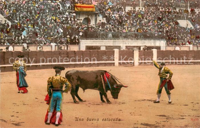 Stierkampf Corrida de Toros Bullfight P. Co. 5146 Una buena estocada