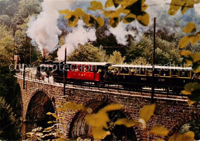 Eisenbahn Railway Chemin de Fer Museumsbahn Blonay Chamby Loc G2x2/2 10