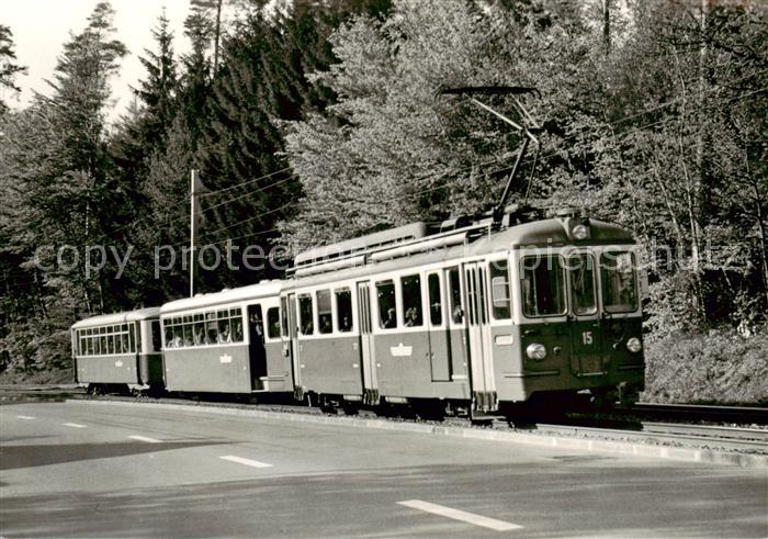 Eisenbahn Railway Chemin de Fer Forchbahn Abonnentenzug BDe 4/4 15