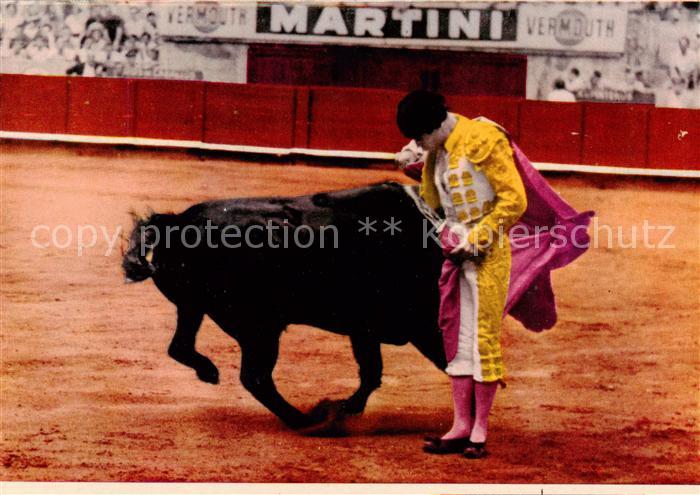 Stierkampf Corrida de Toros Bullfight Bull Fight Spanien National fest