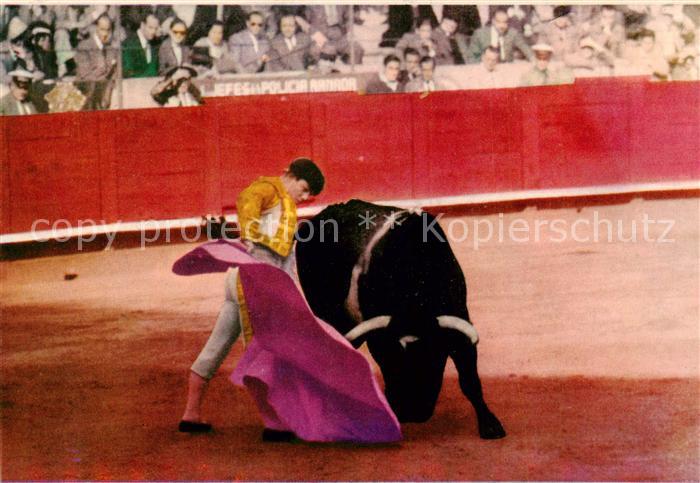 Stierkampf Corrida de Toros Bullfight Bull Fight Spanien national fest