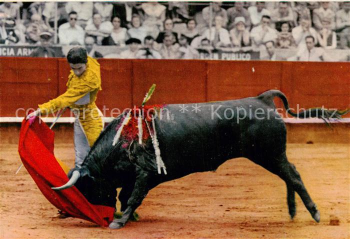 Stierkampf Corrida de Toros Bullfight Bull Fight Spanien national fest