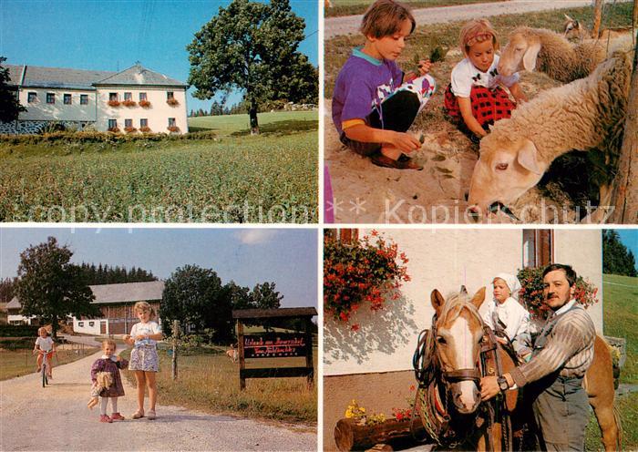 Liebenau Oberoesterreich Bauernhof Teilansichten