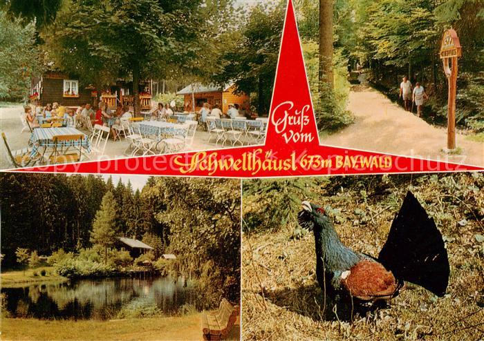 Zwieslerwaldhaus Ausflugsgaststaette-Cafe Schwellhaeusl Teilansichten