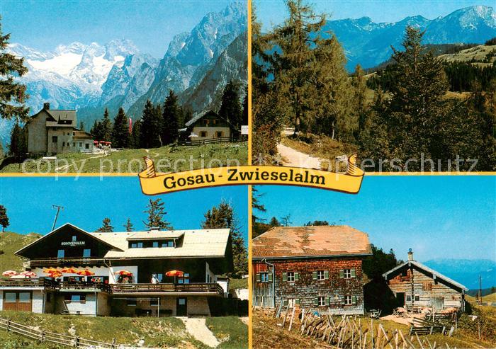 Gosau Salzkammergut AT Zwieselalm Gablonzerhaus Breininghuette Dachsteingebirge