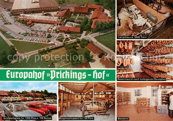 Sythen Haltern Westfaelischer EWG Musterhof Prickingshof Luftbild Tierschau Baue