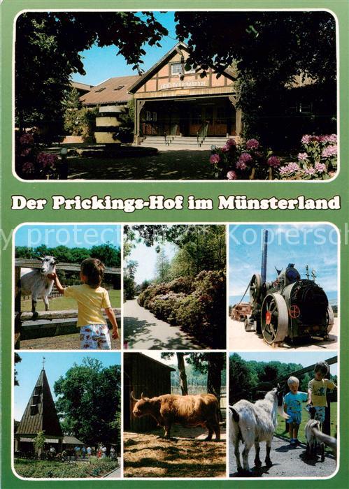 Sythen Haltern Westfaelischer EWG Musterhof Prickingshof