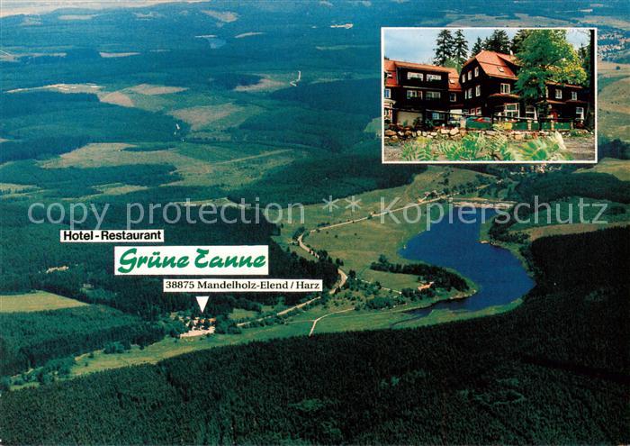 Mandelholz Harz Hotel Restaurant Gruene Tanne