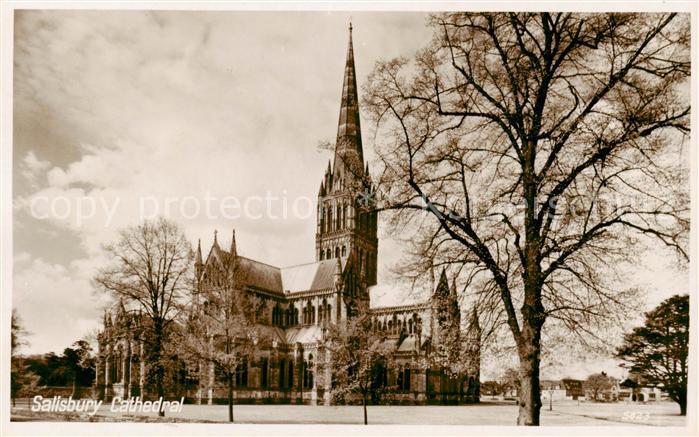 Salisbury  Wiltshire UK Cathedral