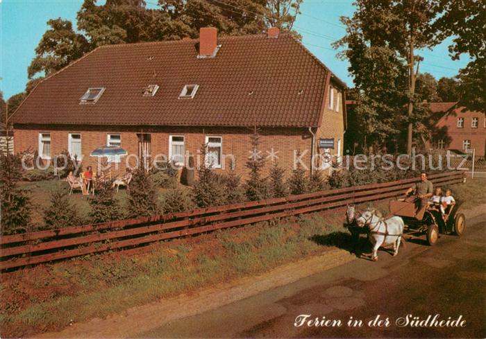 Habighorst Pension Ponyhof Kutschfahrt