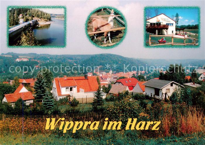 Wippra Talsperre Streichelzoo Rodelbahn Panorama