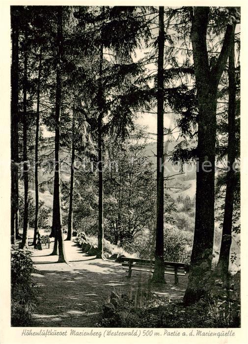 Marienberg Westerwald Partie an der Marienquelle Hoehenluftkurort