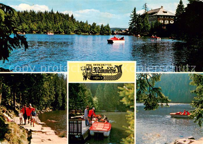 Mummelsee Berghotel Mummelsee Wanderweg Bootssteg Schwarzwaldhochstrasse