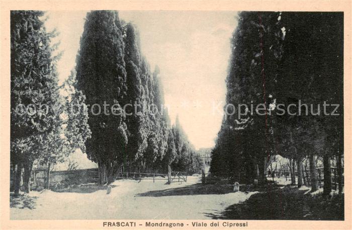 Frascati Roma  Rom IT Mondragone Viale dei Cipressi