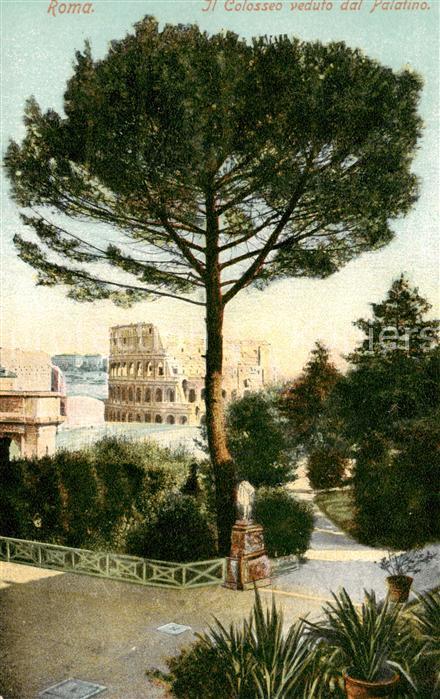 Roma  Rom IT Il Colosseo veduto dal Palatino