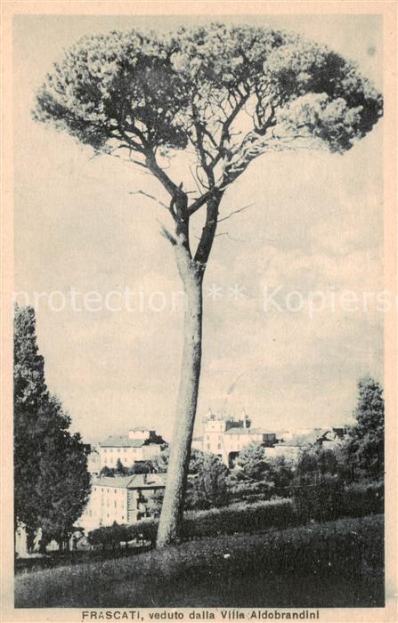 Frascati Roma  Rom IT Veduto dalla Villa Aldobrandini