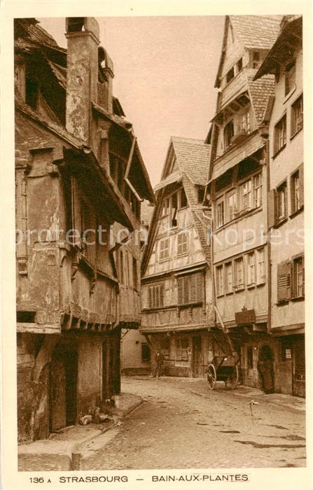 Strasbourg Alsace Bain aux Plantes