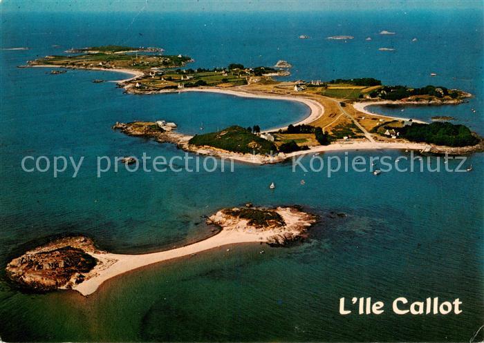 Ile Callot Carantec 29 Finistere Vue aerienne