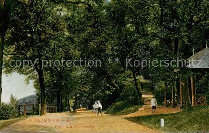 Freiburg Breisgau Partie a. d. Schlossberg