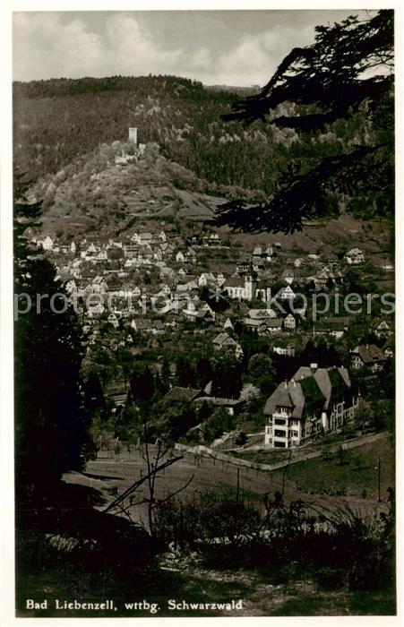 Bad Liebenzell Gesamtansicht