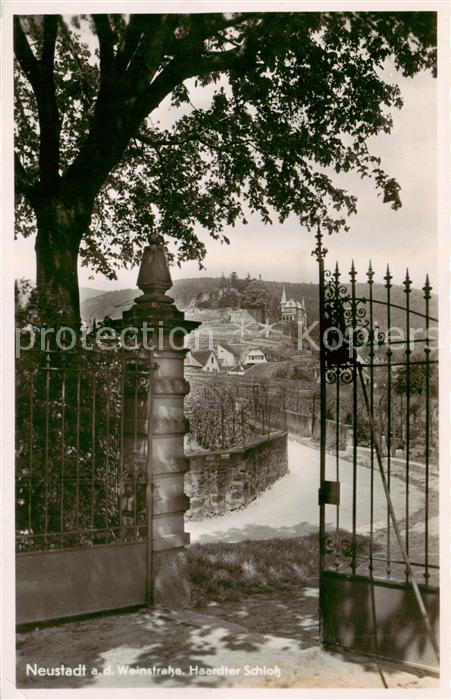 Neustadt Haardt Weinstrasse Haardter Schloss Tor