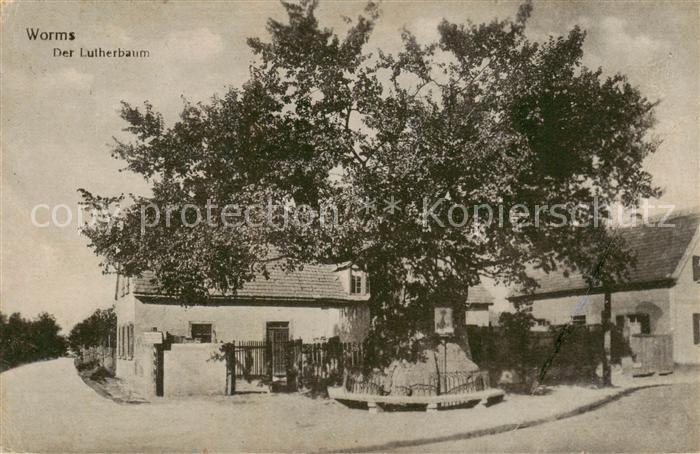 Worms Rhein Der Lutherbaum