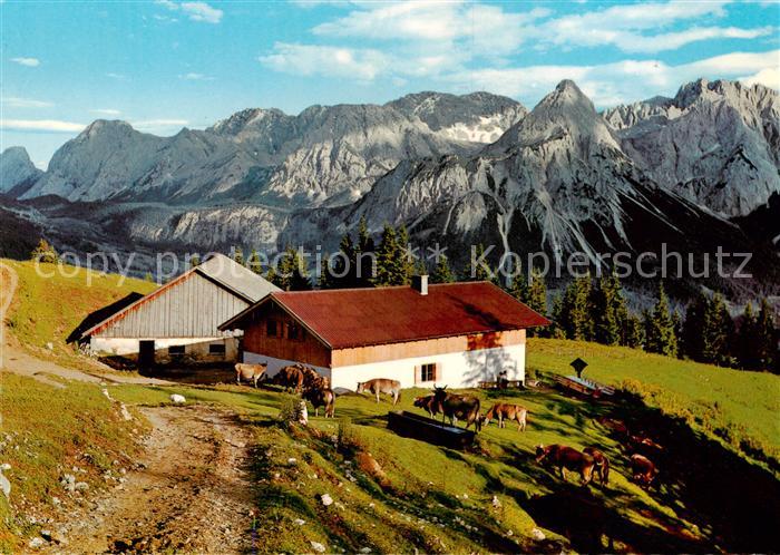 Duftalm 1483m Lermoos Tirol AT Duftalm m. Mieminger Gebirge