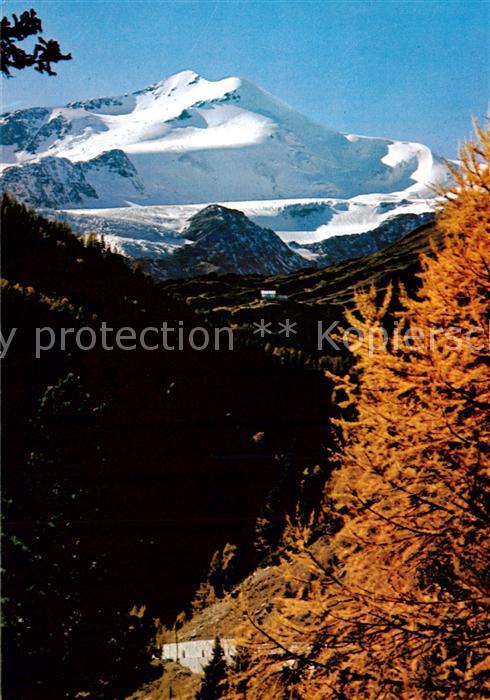 Vinschgau Val Venosta Der Cevedale vom Val Martello