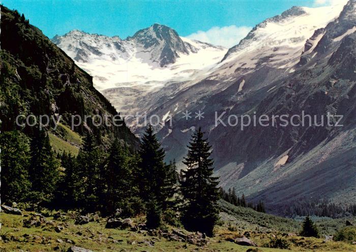 Steinbockhaus 1380m Floitental Zillertal Talschluss m. Floitenspitzen