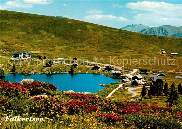 Falkertsee Nockgebiet Kaernten AT Panorama Almrauschbluete