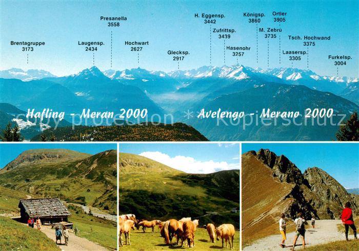 Hafling Avelengo-Falzeben IT Panorama Huette Haflinger Pferde Wanderer