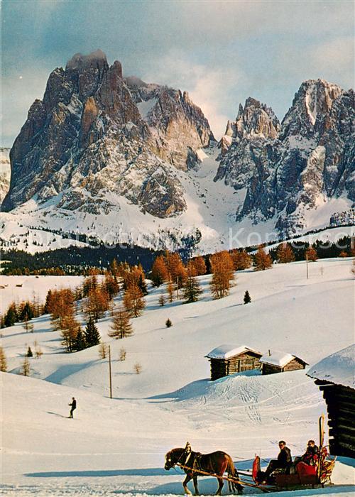 Seiseralm Alpe di Siusi Trentino IT mit Langkofelgruppe Pferdeschlittenfahrt