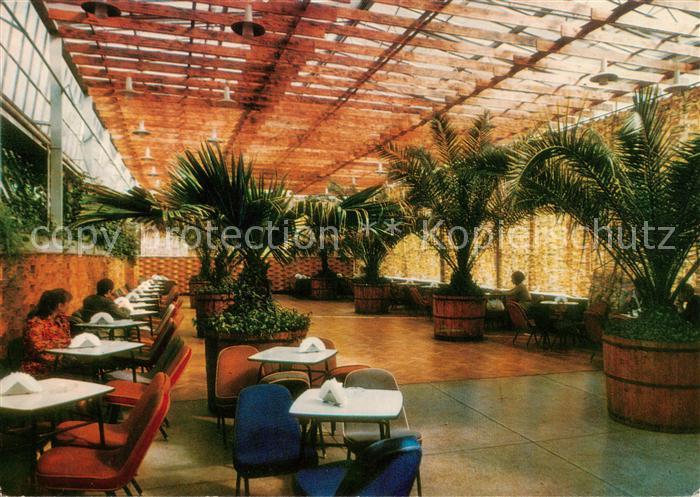 Zielona Gora Gruenberg Wnetrze kawiarni Palmiarnia Palmhaus Cafe