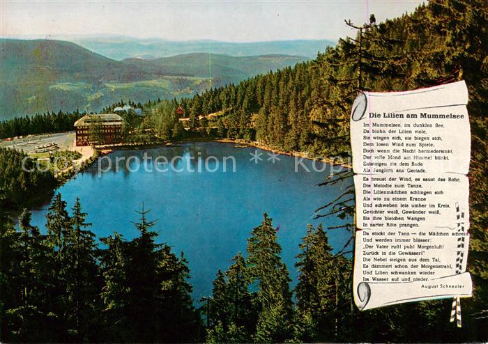 Mummelsee Panorama Berghotel Gedicht Die Lilien am Mummelsee Schwarzwaldhochstra