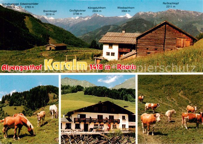 Rauris-Woerth AT Alpengasthof Karalm Almvieh Alpenpanorama