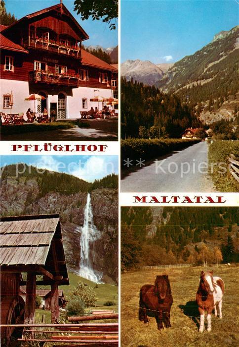 Maltatal Kaernten AT Pfluegelhof Wasserfall Ponys