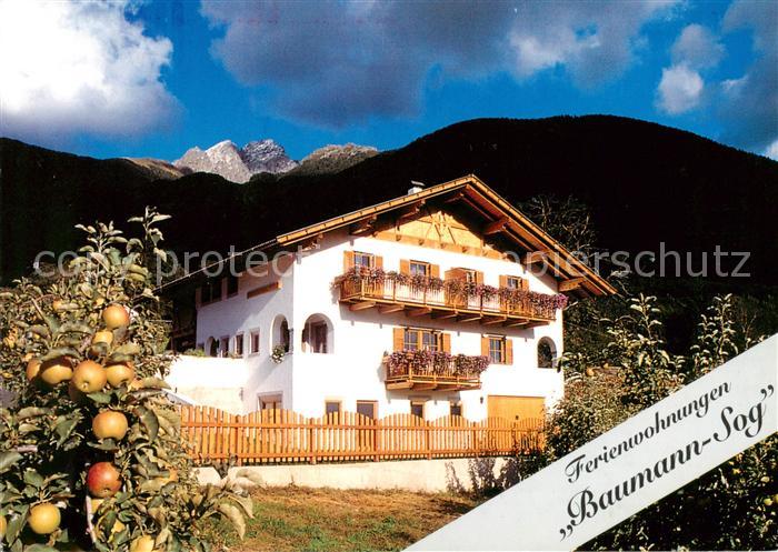 Schenna Meran Trentino IT Ferienwohnungen Baumann-Sog Obstbaeume