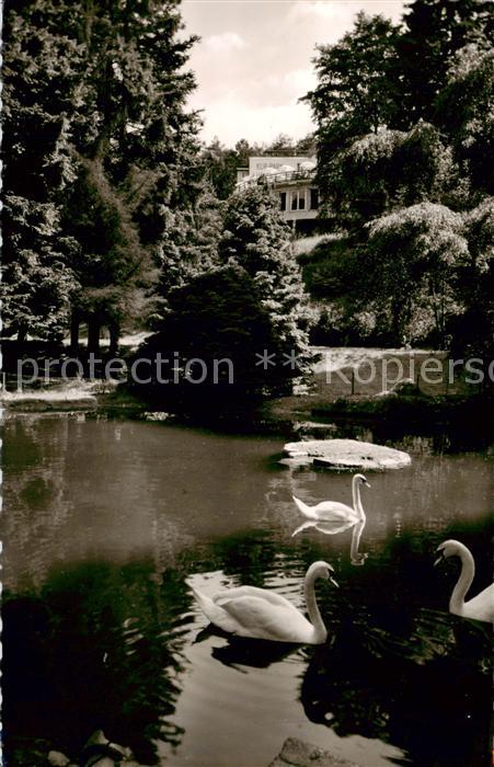 Bergzabern Bad Schwanenweiher im Parkhotel