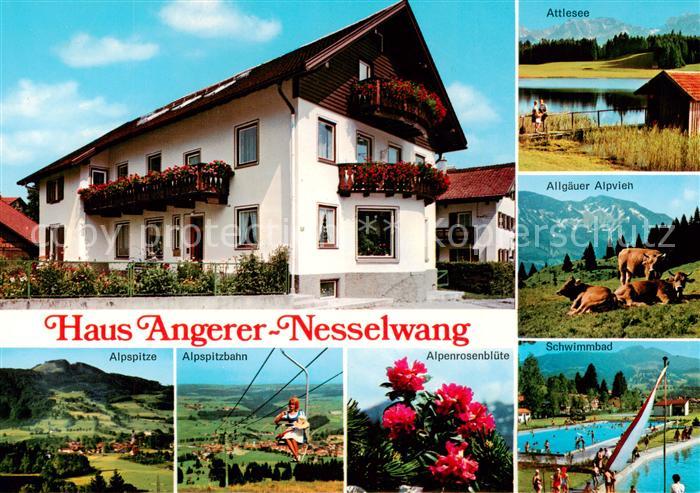 Nesselwang Allgaeu Bayern Haus Angerer Attlesee Allgaeuer Alpvieh Alpspitze Alp