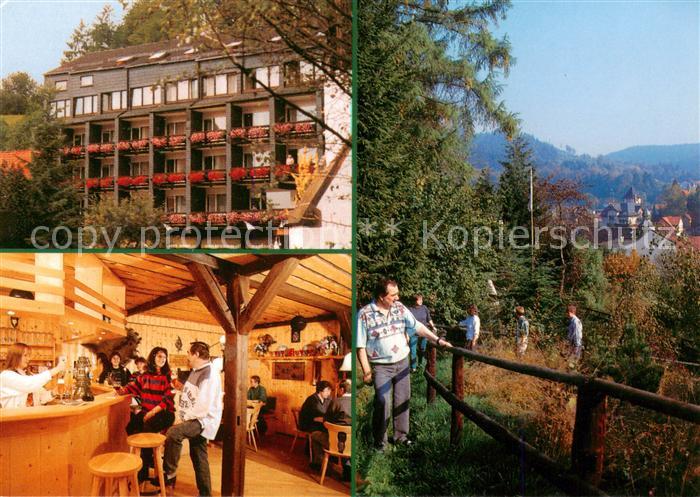 Bad Grund Alter Roemer Hotel Bar Park