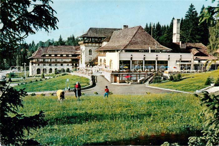 Polana Brasov Hotel Sport