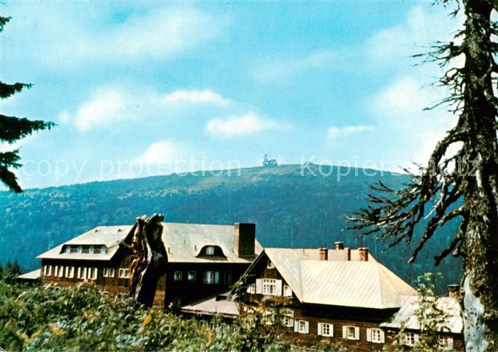 Jeseniky Freiwaldau CZ Chata Ovcarna y pozadi Praded Berghaus