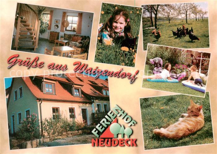 Waizendorf Leutershausen Ferienhof Neudeck Huehner Katze