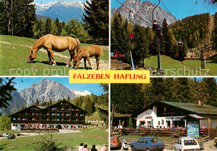 Falzeben Hafling Bozen Suedtirol IT Haflinger Pferde Sessellift Gasthof Cafe