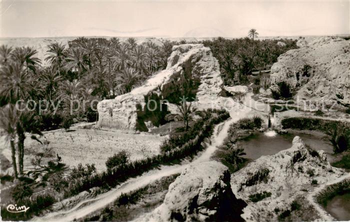 Gabes Tunesie Les bords de l’Oued dans la Palmeraie