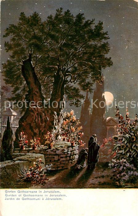 Jerusalem Yerushalayim Garten Gethsemane