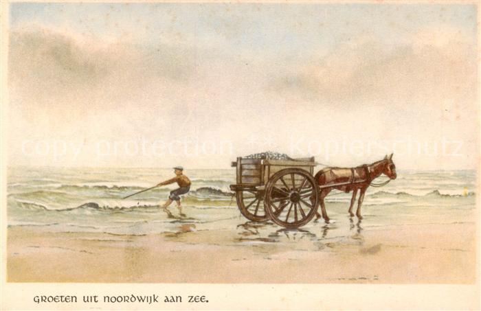 Noordwijk Noordwyk aan Zee Panorama Eselskarren
