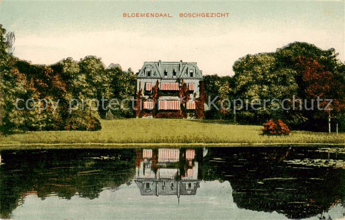 Bloemendaal aan Zee Boschgezicht