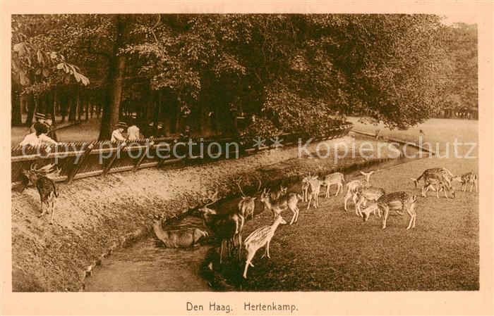 Den Haag La Haye NL Hertenkamp Tiergehege